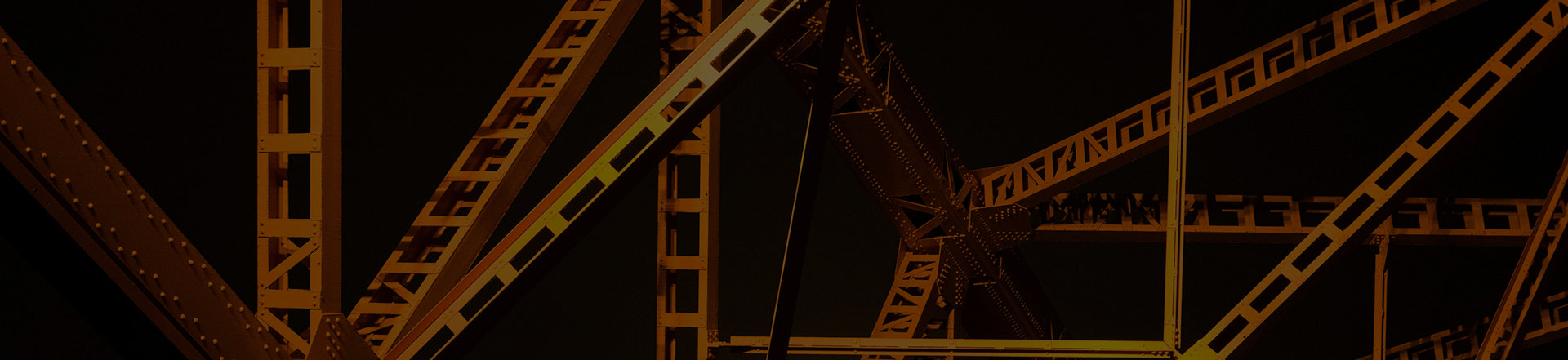 Duis aute irure dolor